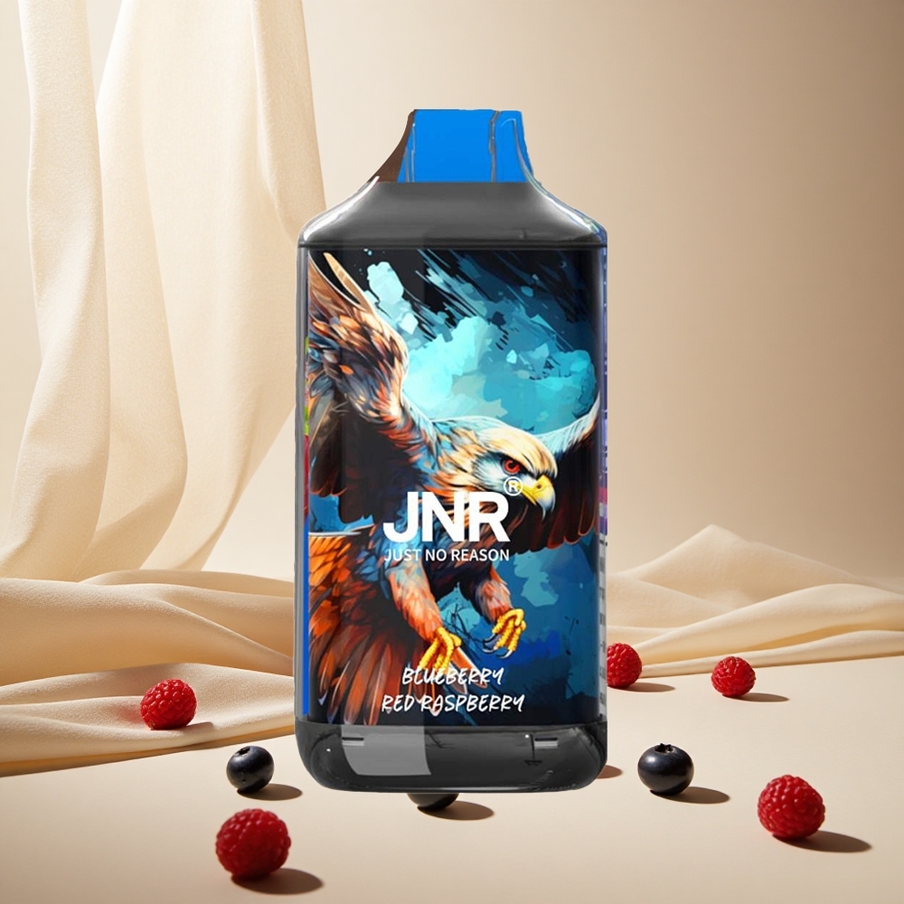 Blueberry Red Raspberry JNR Falcon 16000 Puffs Dual Mesh Coil wholesale vapes Ireland
