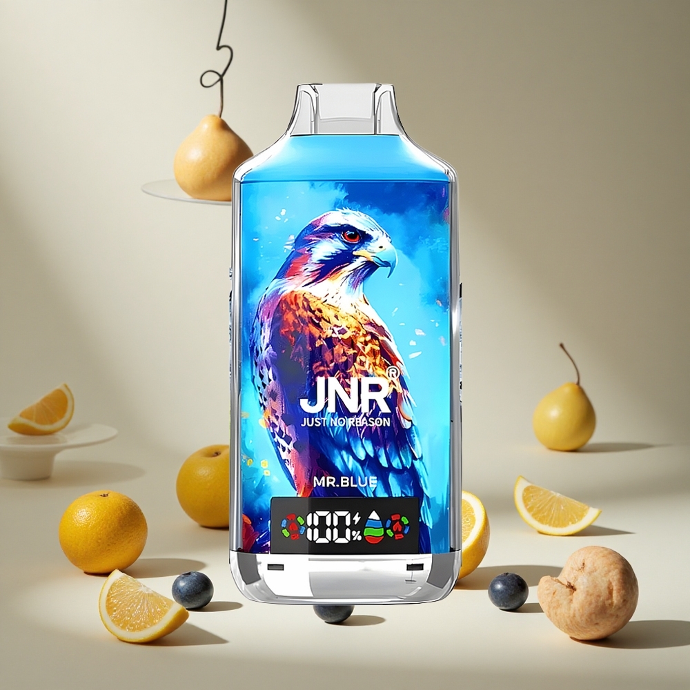 Blue Mr. JNR Falcon X 18000 Puffs Dual Mesh Coil wholesale vapes Ireland