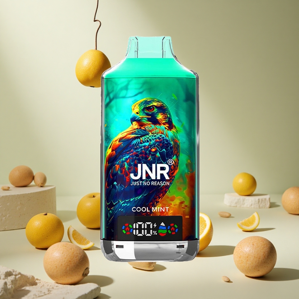 Cool Mint JNR Falcon X 18000 Puffs 24ml Dual Mesh wholesale vapes Ireland Type-C Quick Charge