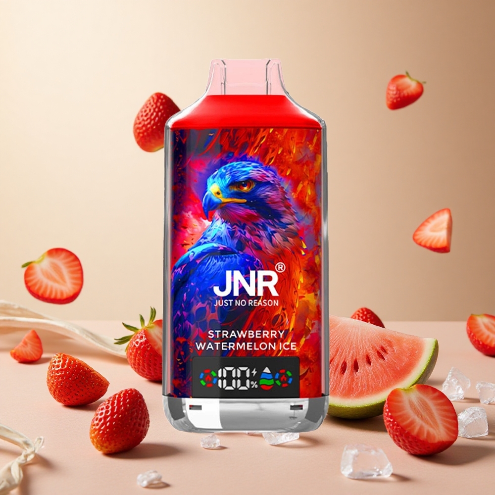 Strawberry Watermelon Ice JNR Falcon X 18000 Puffs wholesale vapes Ireland 24ml Dual Mesh