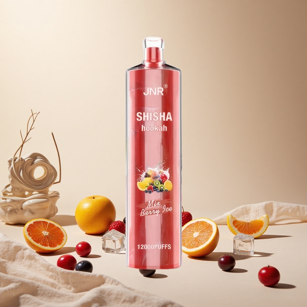 Berry Ice JNR Shisha Hookah 12000 Puffs 24ml wholesale vapes Ireland Type-C fast charging