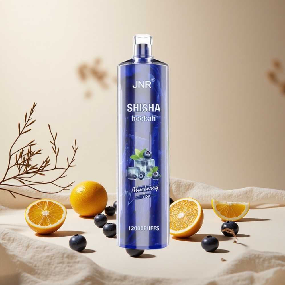 Blueberry Ice JNR Shisha Hookah 12000 Puffs wholesale vapes Ireland Type-C Fast Charging