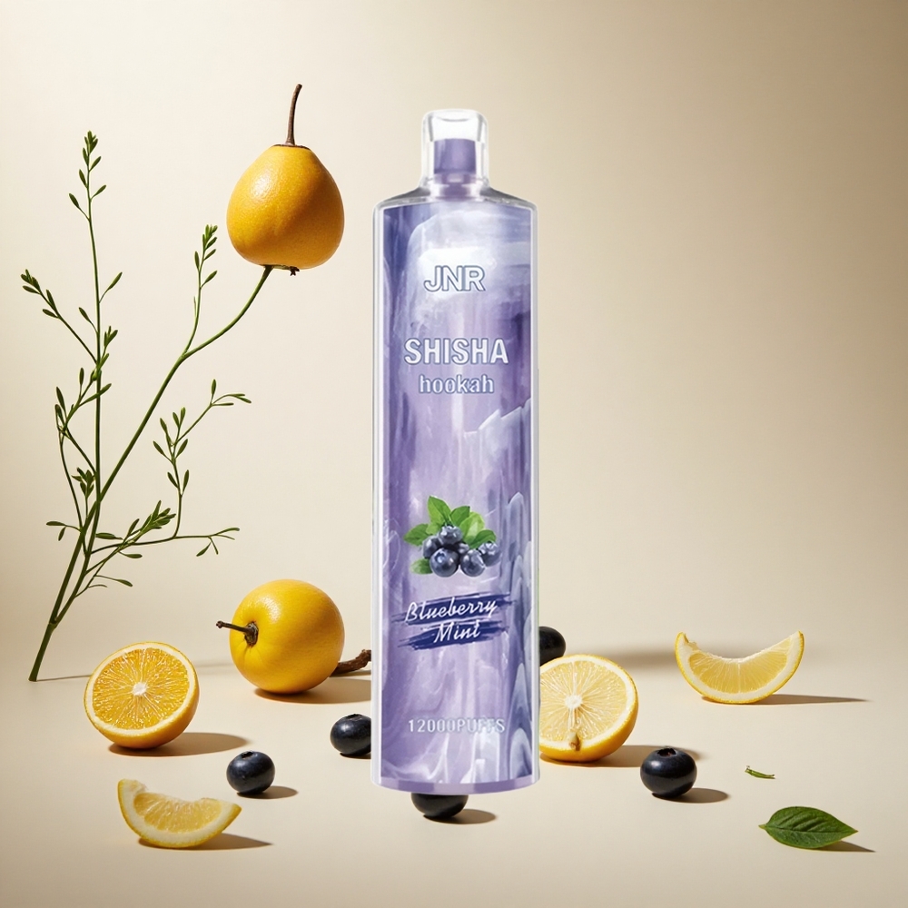 Blueberry Mint JNR Shisha Hookah 12000 Puffs 24ml wholesale vapes Ireland Type-C Fast Charging