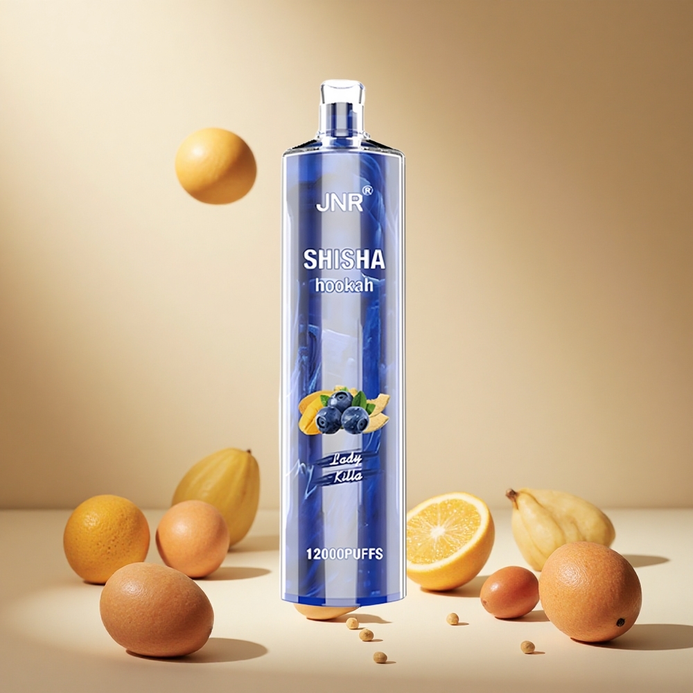 Lady Killa JNR Shisha Hookah 12000 Puffs 24ml wholesale vapes Ireland Type-C Fast Charging