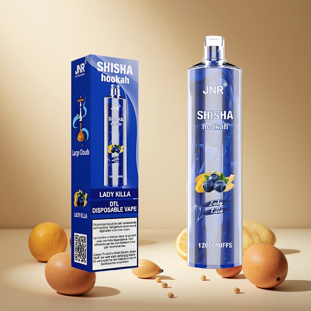 Lady Killa JNR Shisha Hookah 12000 Puffs 24ml wholesale vapes Ireland Type-C Fast Charging