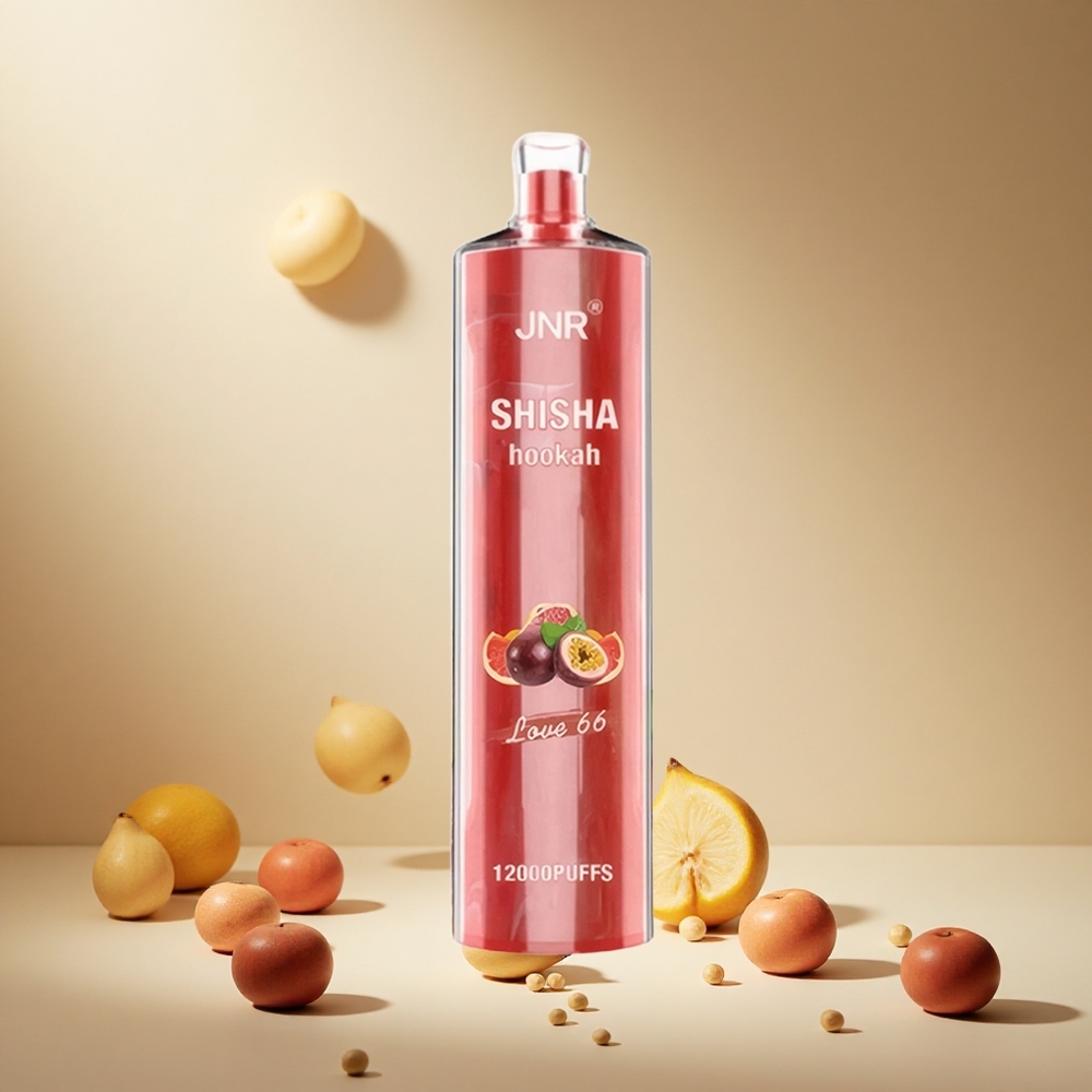 Love 66 JNR Shisha Hookah 12000 Puffs 24ml wholesale vapes Ireland Type-C Fast Charging
